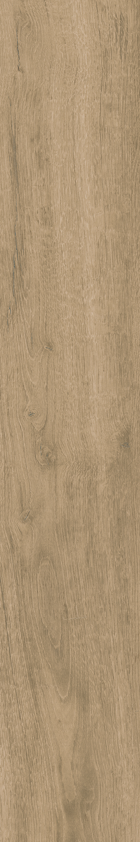 Honey Floor/Wall Tile 8x48