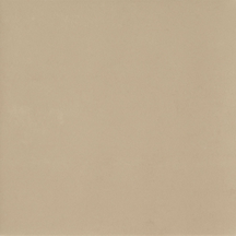 Beige Natural Floor/Wall Tile 24x24