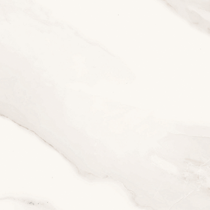 Calacatta Gold Floor/Wall Tile 12x12