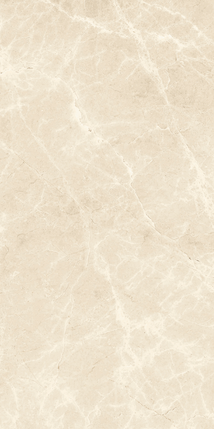 Emperador Beige Floor/Wall Tile 12x24