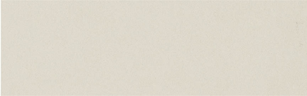 Snow Natural Floor/Wall Tile 3.75x12