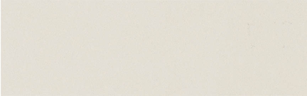 Snow Polished Floor/Wall Tile 3.75x12