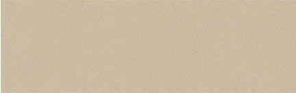 Beige Polished Floor/Wall Tile 3.75x12