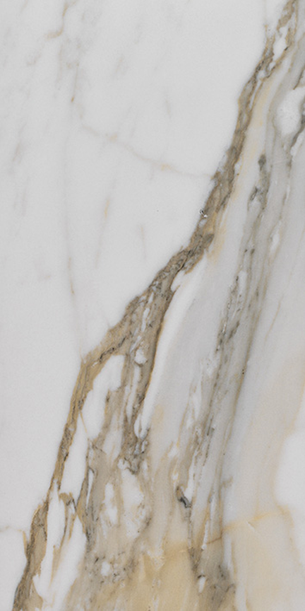 Imperial Gold Calacatta Floor/Wall Tile (Matte) 12x24