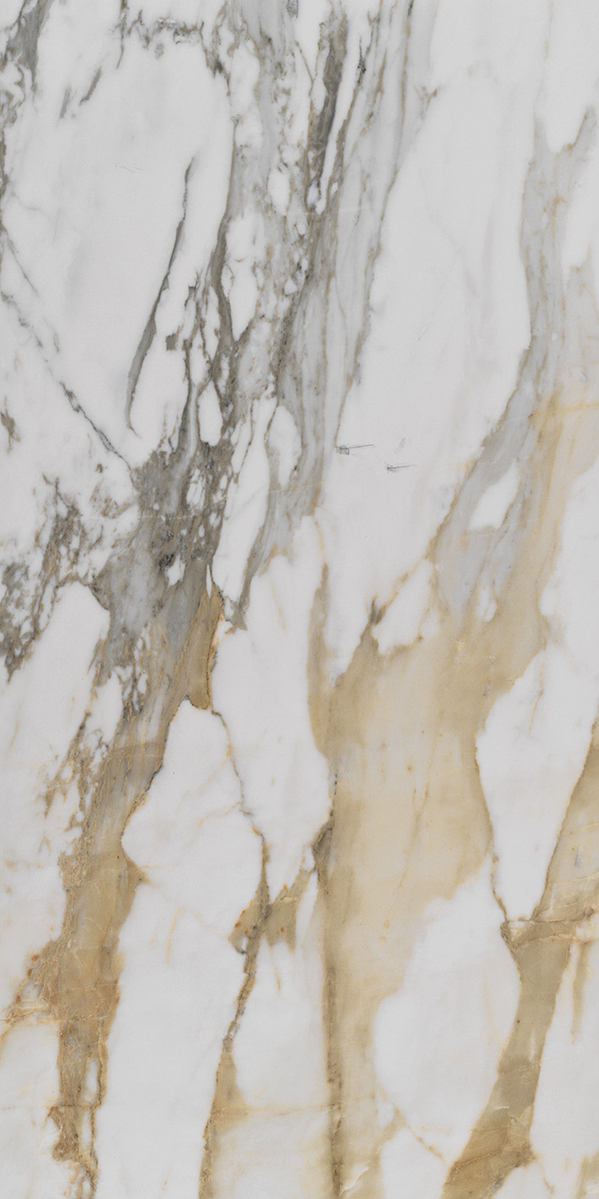 Imperial Gold Calacatta Floor/Wall Tile (Matte) 24x48