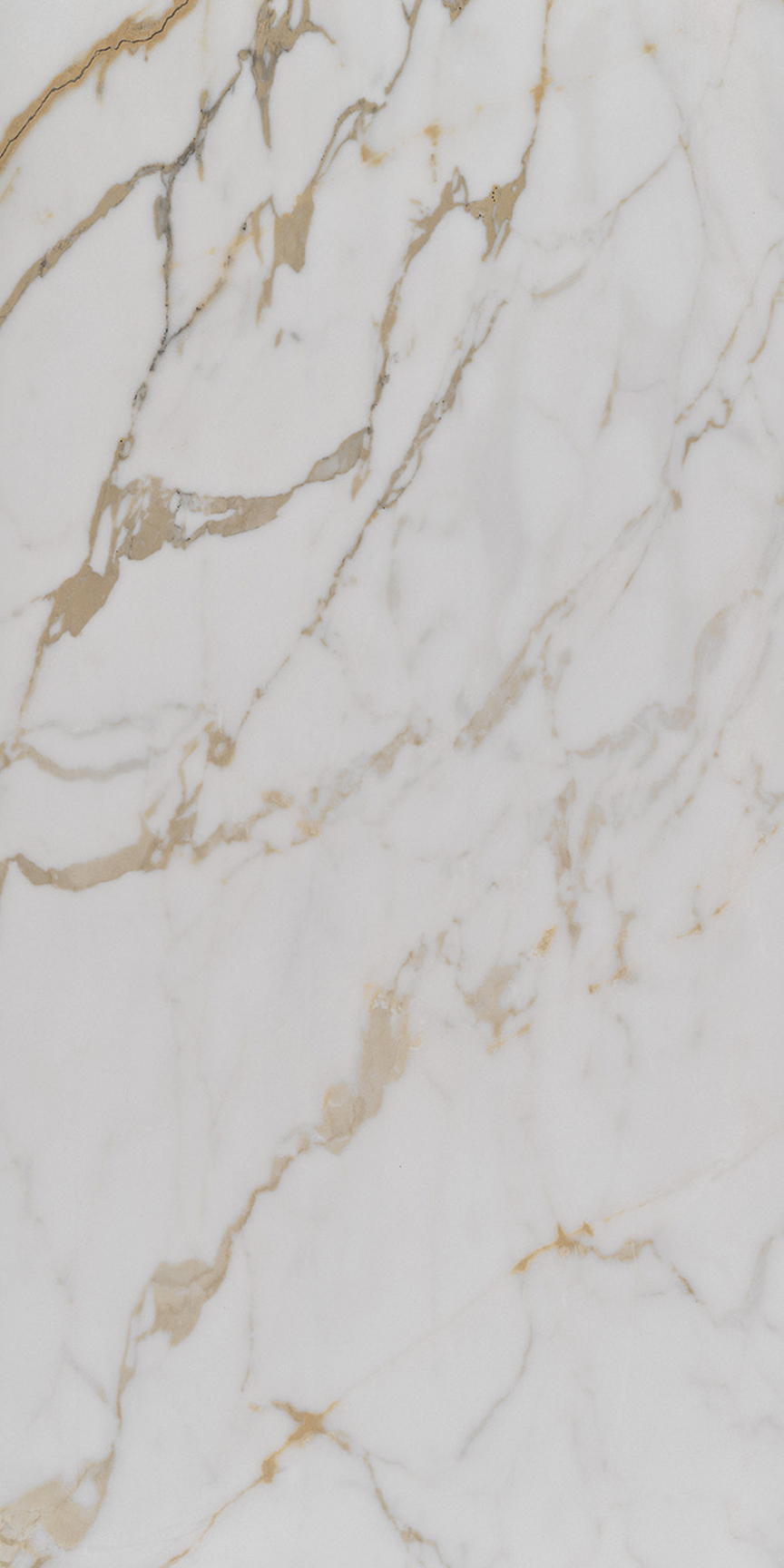 Imperial Gold Calacatta Floor/Wall Tile (Polished) 24x48