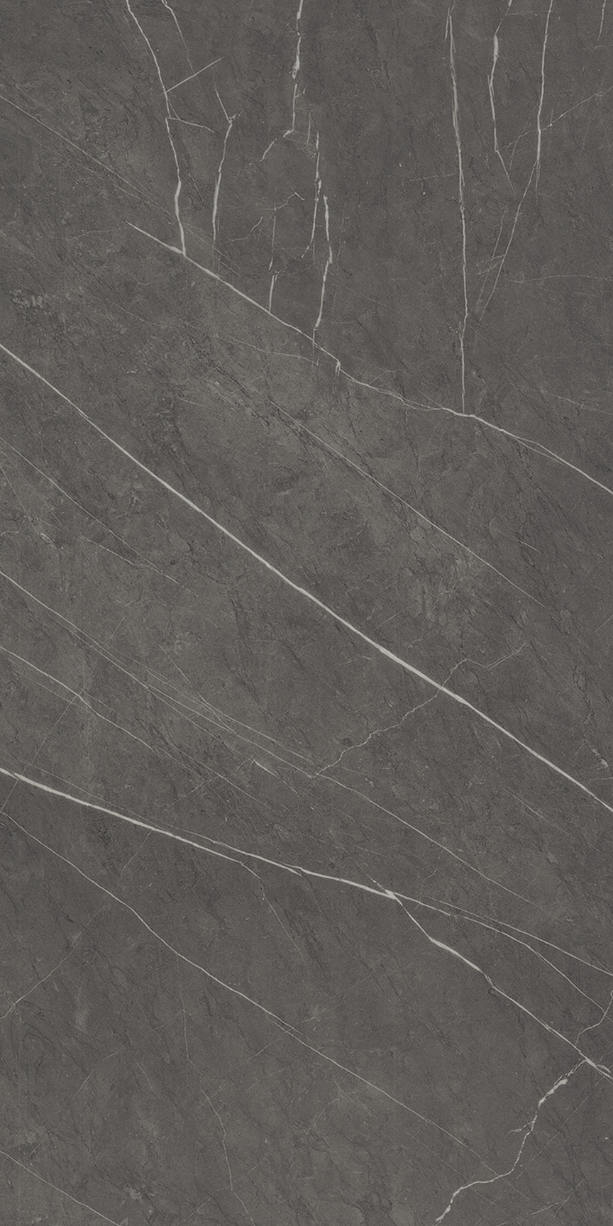 Sovereign Gray Floor/Wall Tile (Matte) 24x48