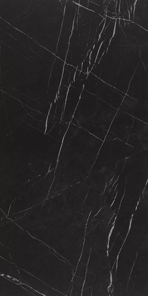 Regal Black Floor/Wall Tile (Polished) 24x48