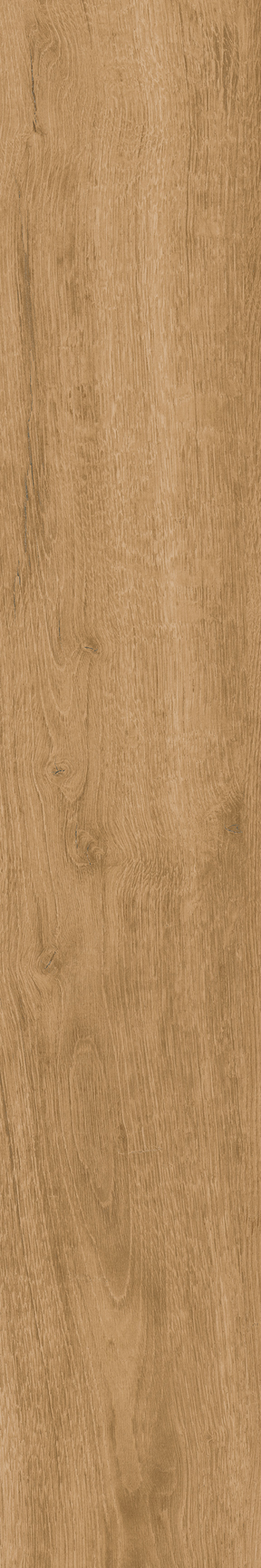 Honey Floor/Wall Tile 8x48