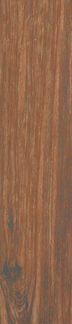 Walnut Floor/Wall Tile 8x36