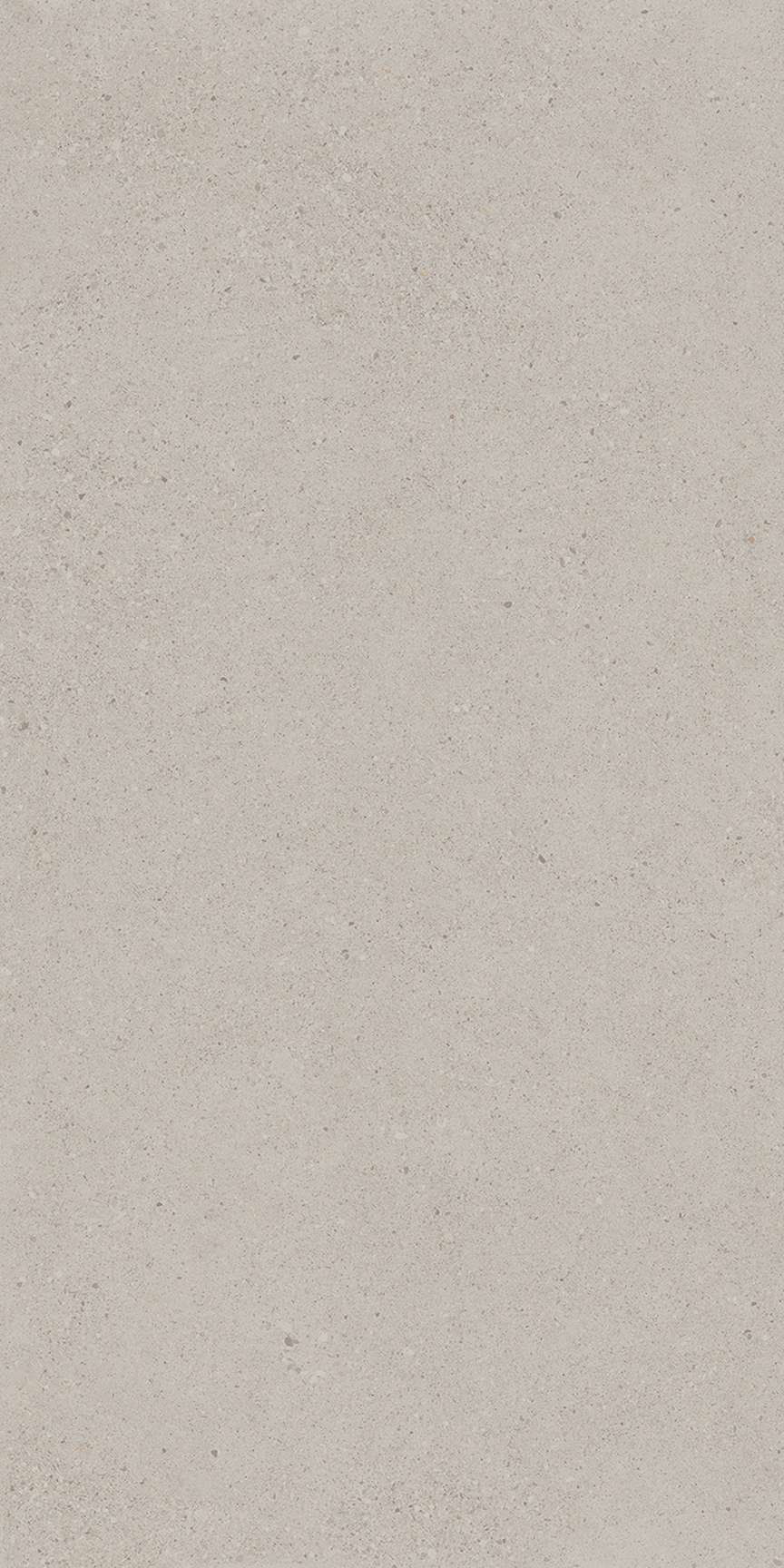 Café Light Gray Floor/Wall Tile 24x48