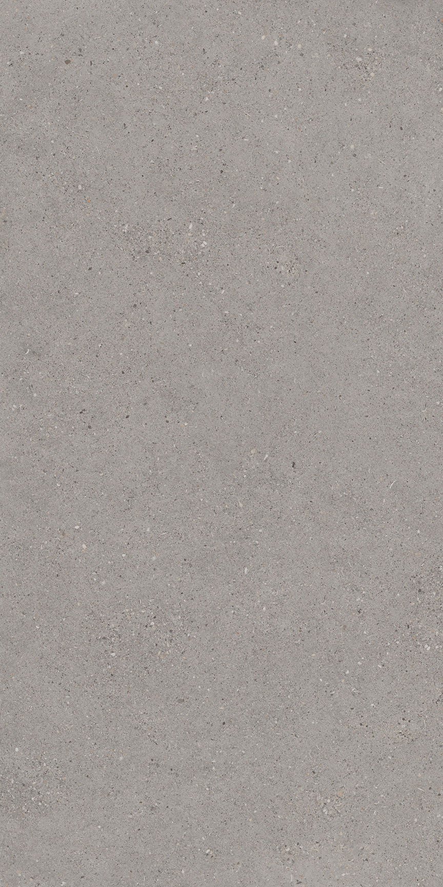 French Gray Floor/Wall Tile 24x48