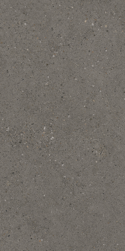 Black Bayou Floor/Wall Tile 12x24