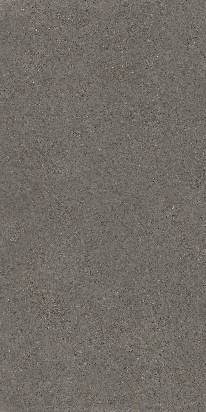 Black Bayou Floor/Wall Tile 24x48