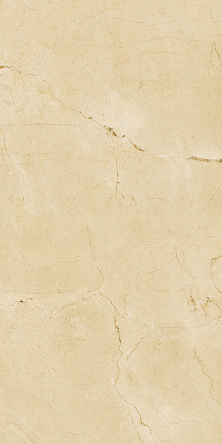 Grace Floor/Wall Tile (Matte) 12x24