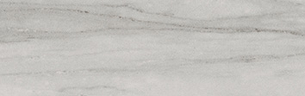 Beauty Floor/Wall Tile (Matte) 3.75x12