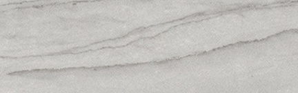 Beauty Floor/Wall Tile (Polished) 3.75x12