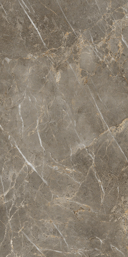 Charm Floor/Wall Tile (Matte) 12x24