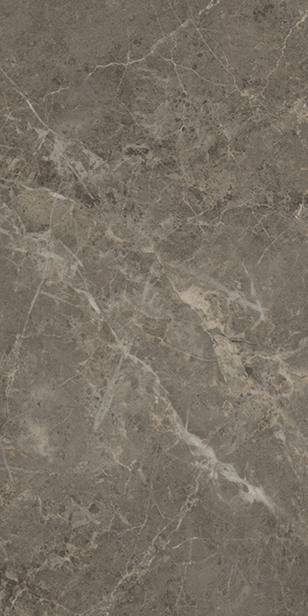 Charm Floor/Wall Tile (Polished) 12x24