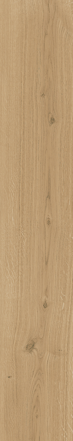 Sonata Oak Floor/Wall Tile 8x48