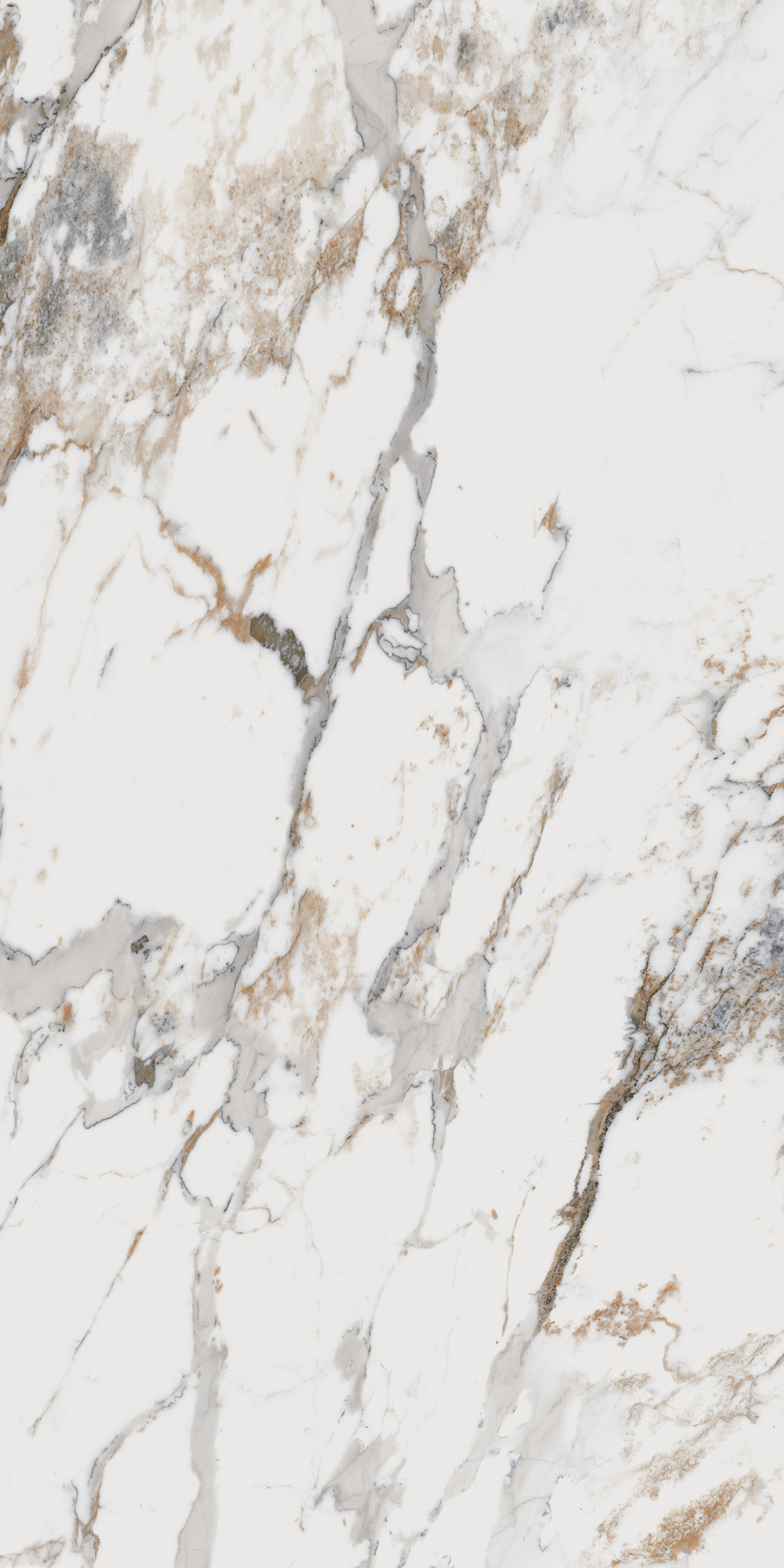 Breccia Capraia Floor/Wall Tile (Matte) 24x48