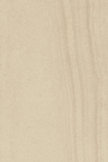 Everywhere Greige 2cm Porcelain Pavers 24x36