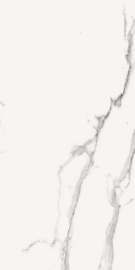 Calacatta Floor/Wall Tile (Matte) 12x24