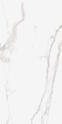 Calacatta Floor/Wall Tile (Matte) 24x48