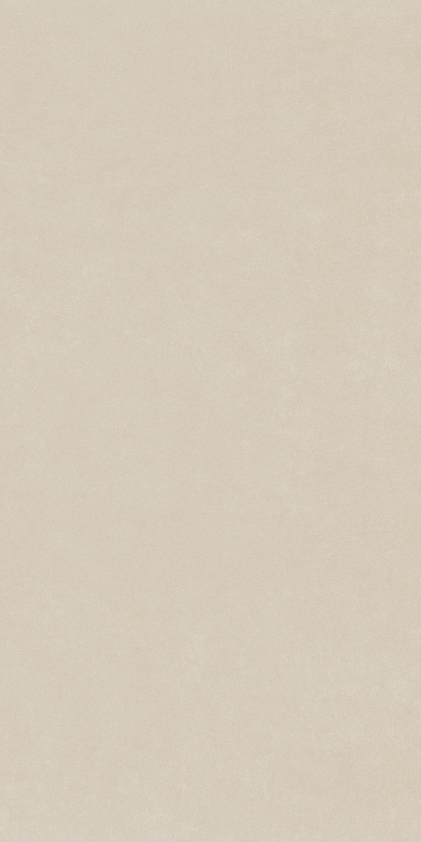 Fortune White Floor/Wall Tile 24x48