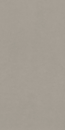 Infinite Cool Gray Floor/Wall Tile 24x48