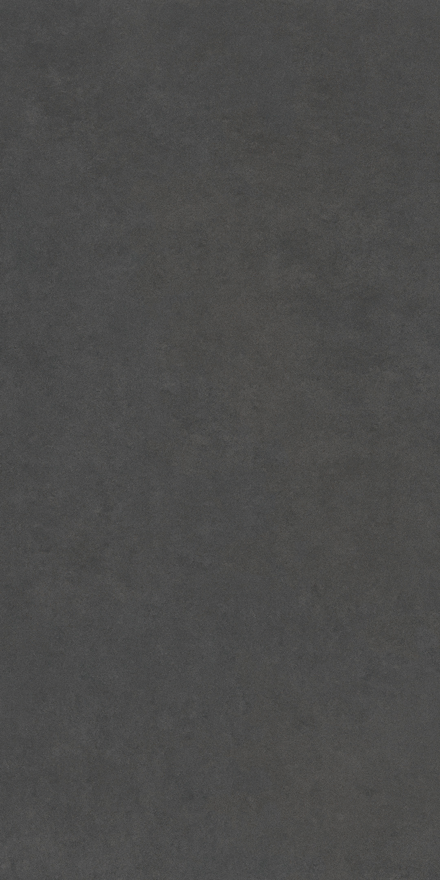 Destiny Black Floor/Wall Tile 24x48