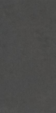 Destiny Black Floor/Wall Tile 24x48