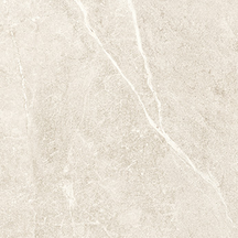 Nature Beige Floor/Wall Tile (Polished) 24x24