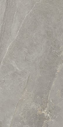 Ash Cool Gray Floor/Wall Tile (Polished) 24x48