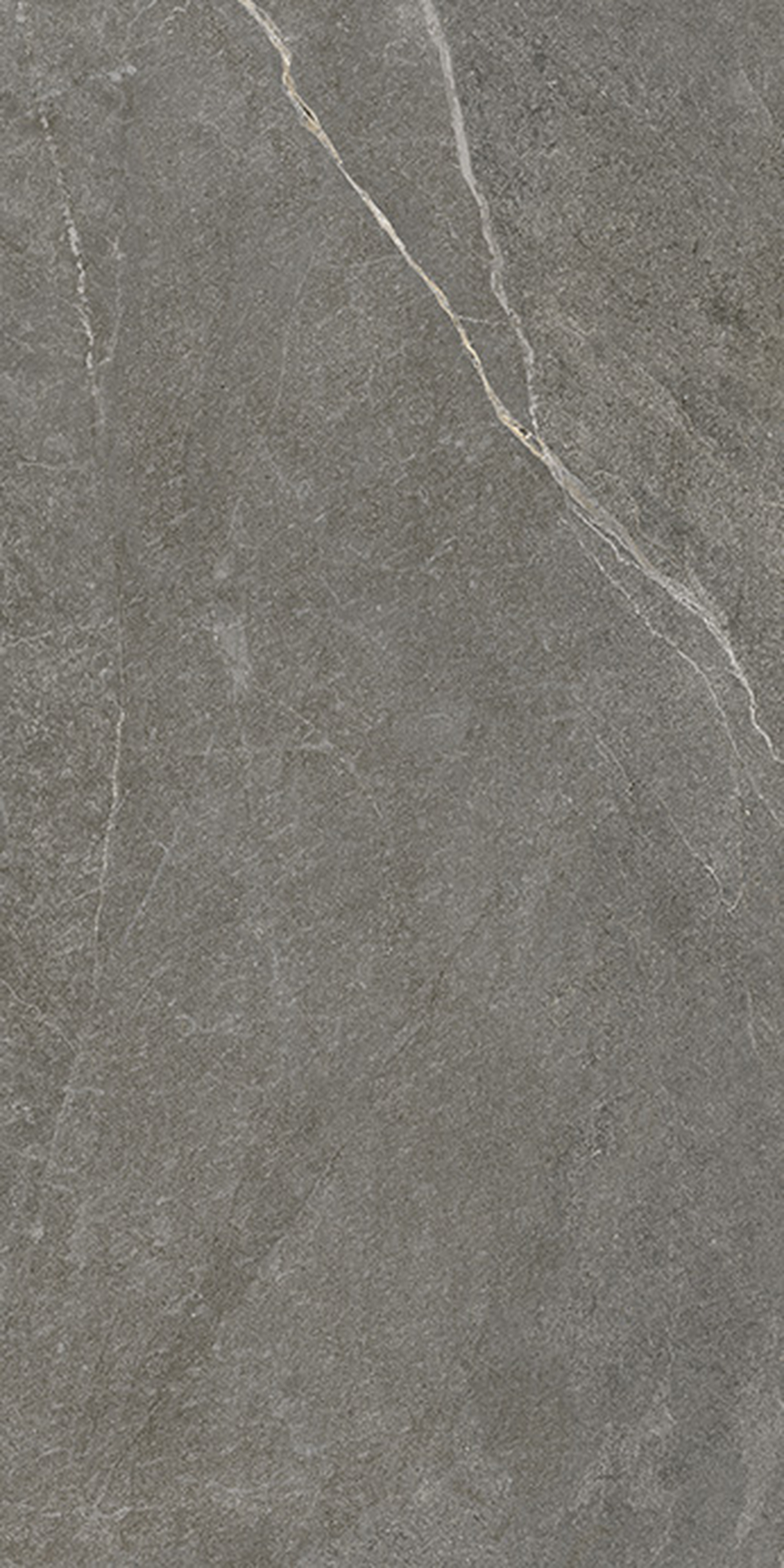 Dark Gray Floor/Wall Tile (Matte) 24x48