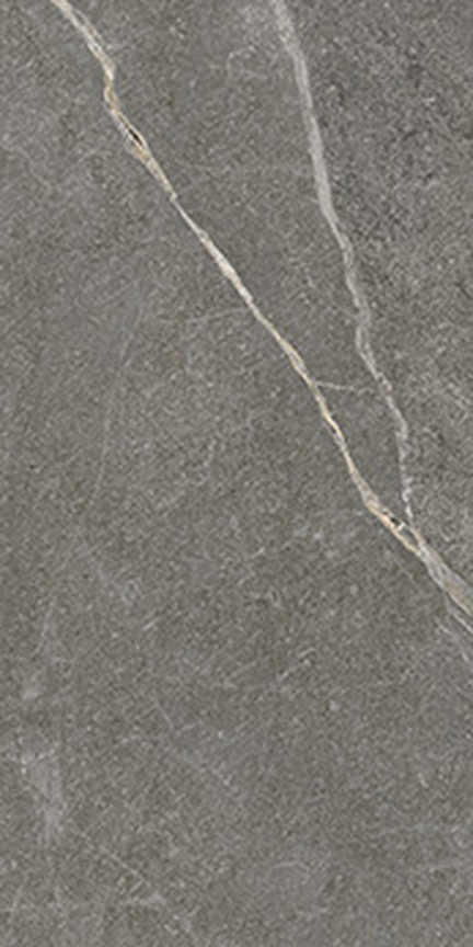 Dark Gray Floor/Wall Tile (Polished) 12x24