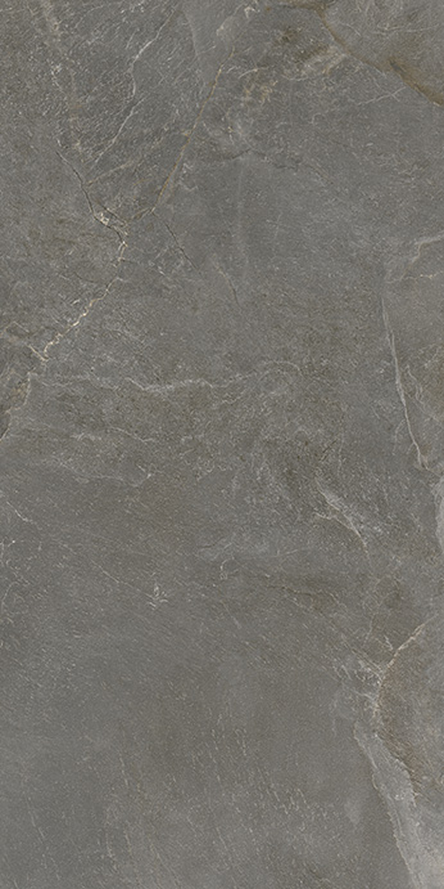 Dark Gray Floor/Wall Tile (Polished) 24x48