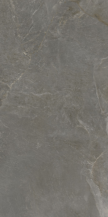 Dark Gray Floor/Wall Tile (Polished) 24x48