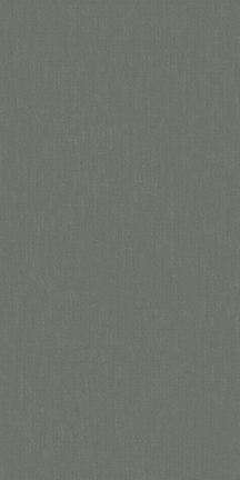 Moss Floor/Wall Tile (Matte) 24x48