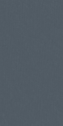 Denim Floor/Wall Tile (Matte) 24x48