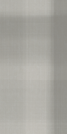 Harrington Floor/Wall Tile (Matte) 24x48
